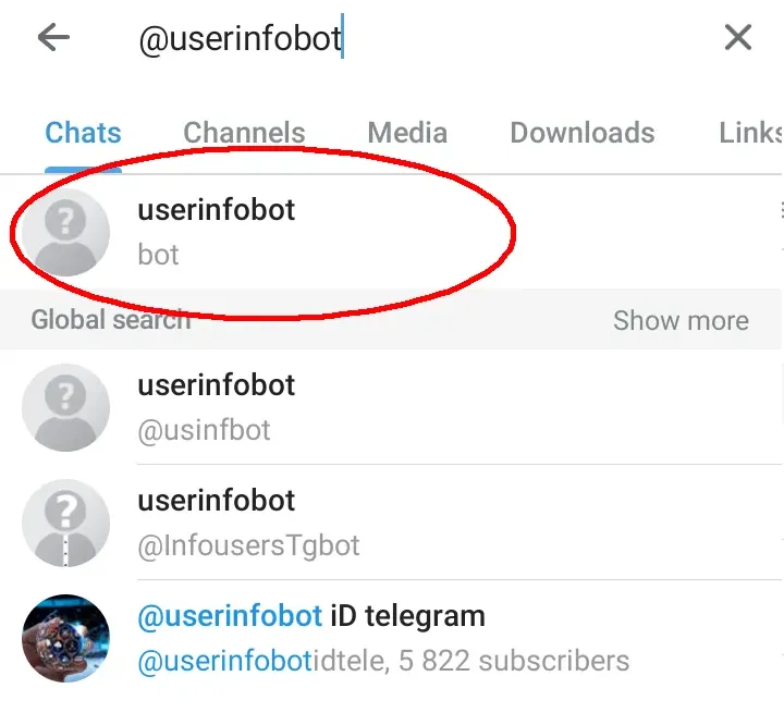 Telegram bot - how to retrieve your User ID